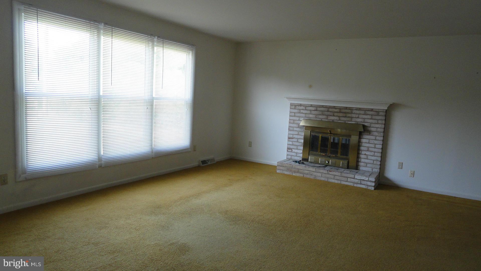 17103 Spielman Road Fairplay, MD 21733 - Photo 3 of 23 CHEERFUL L.R W/FIREPLACE