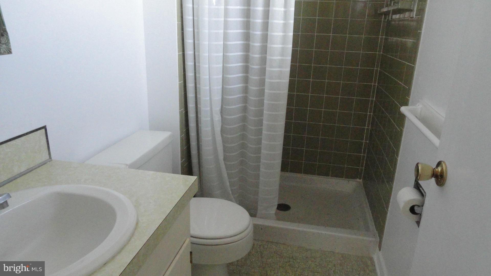 17103 Spielman Road Fairplay, MD 21733 - Photo 10 of 23 Bath (Master)