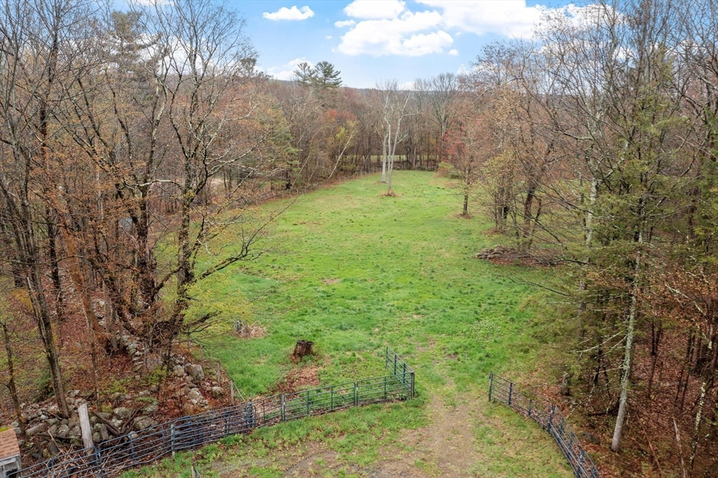 340 Ball Hill Road Princeton, MA 01541 - Photo 16 of 41 a view of a garden with trees