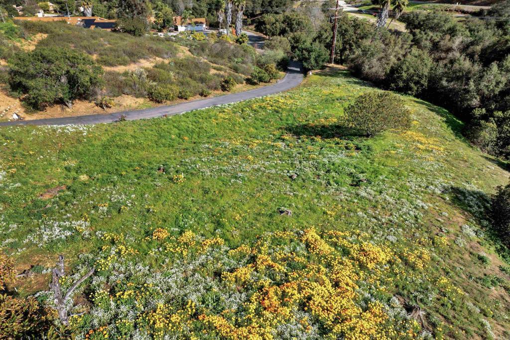 2691 Daisy Lane Fallbrook, CA 92028 - Photo 4 of 73