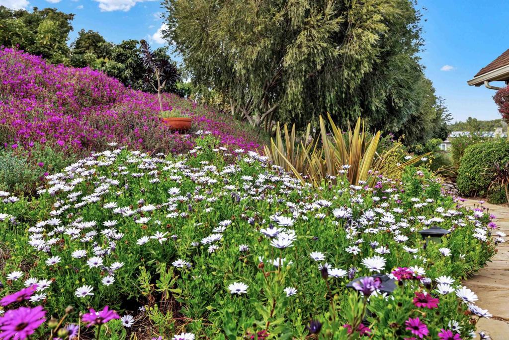 2691 Daisy Lane Fallbrook, CA 92028 - Photo 7 of 73