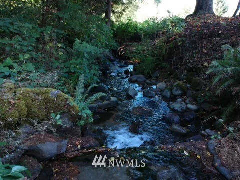 20260 Maxwell Road Southeast Maple Valley, WA 98038 - Photo 31 of 38 a view of a yard