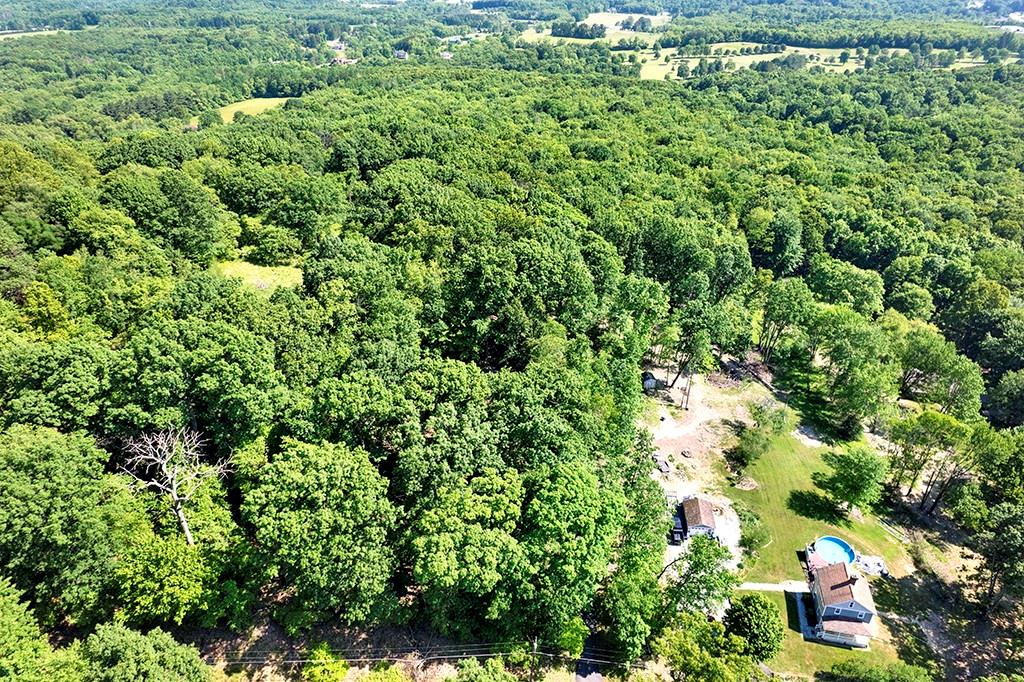 230 Dodds Road Butler, PA 16002 - Photo 4 of 32 view of a lush green forest with lots of trees