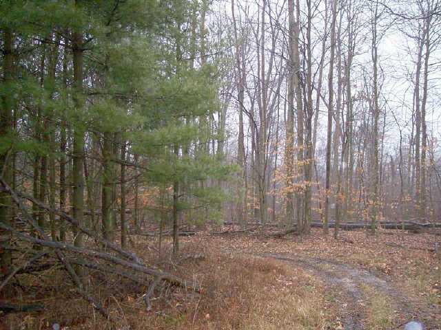 30847 Bailey Road Walhonding, OH 43843 - Photo 4 of 8 Gallery Image 4