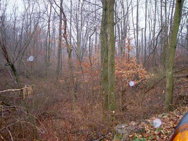 30847 Bailey Road Walhonding, OH 43843 - Photo 8 of 8 Gallery Image 8