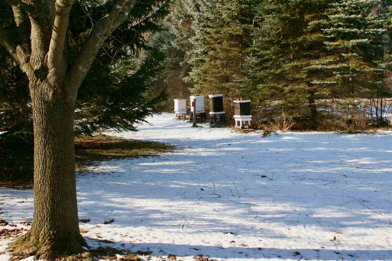 2943 Hinesburg Road Charlotte, VT 05445 - Photo 28 of 39 Gallery Image 28
