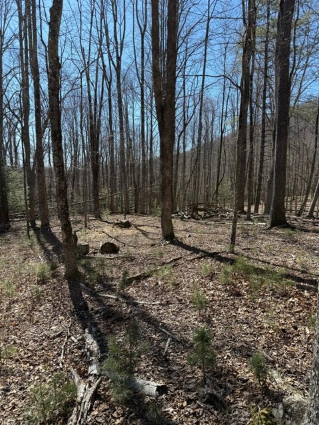 Tbd Flat Ridge Road, Unit 31A67 Mouth Of Wilson, VA 24363 - Photo 23 of 27 Gallery Image 23