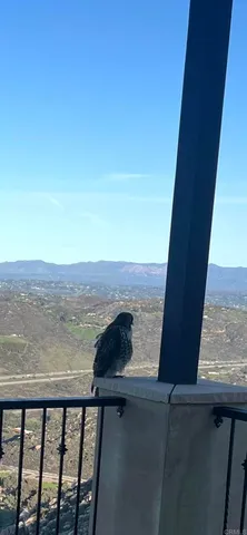 a view of ocean view with beach