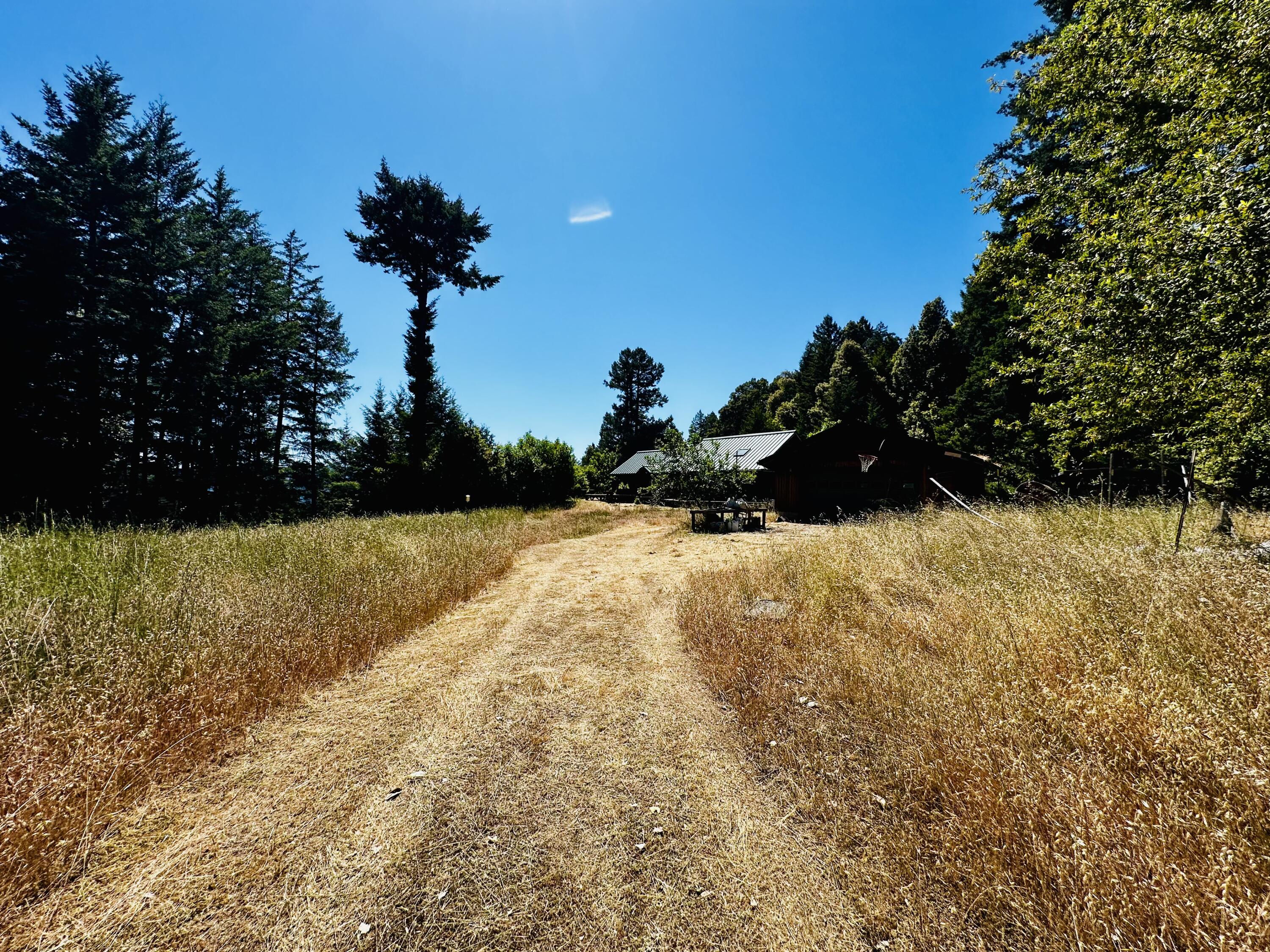 4840 Doody Ridge Road Garberville, CA 95542 - Photo 72 of 80