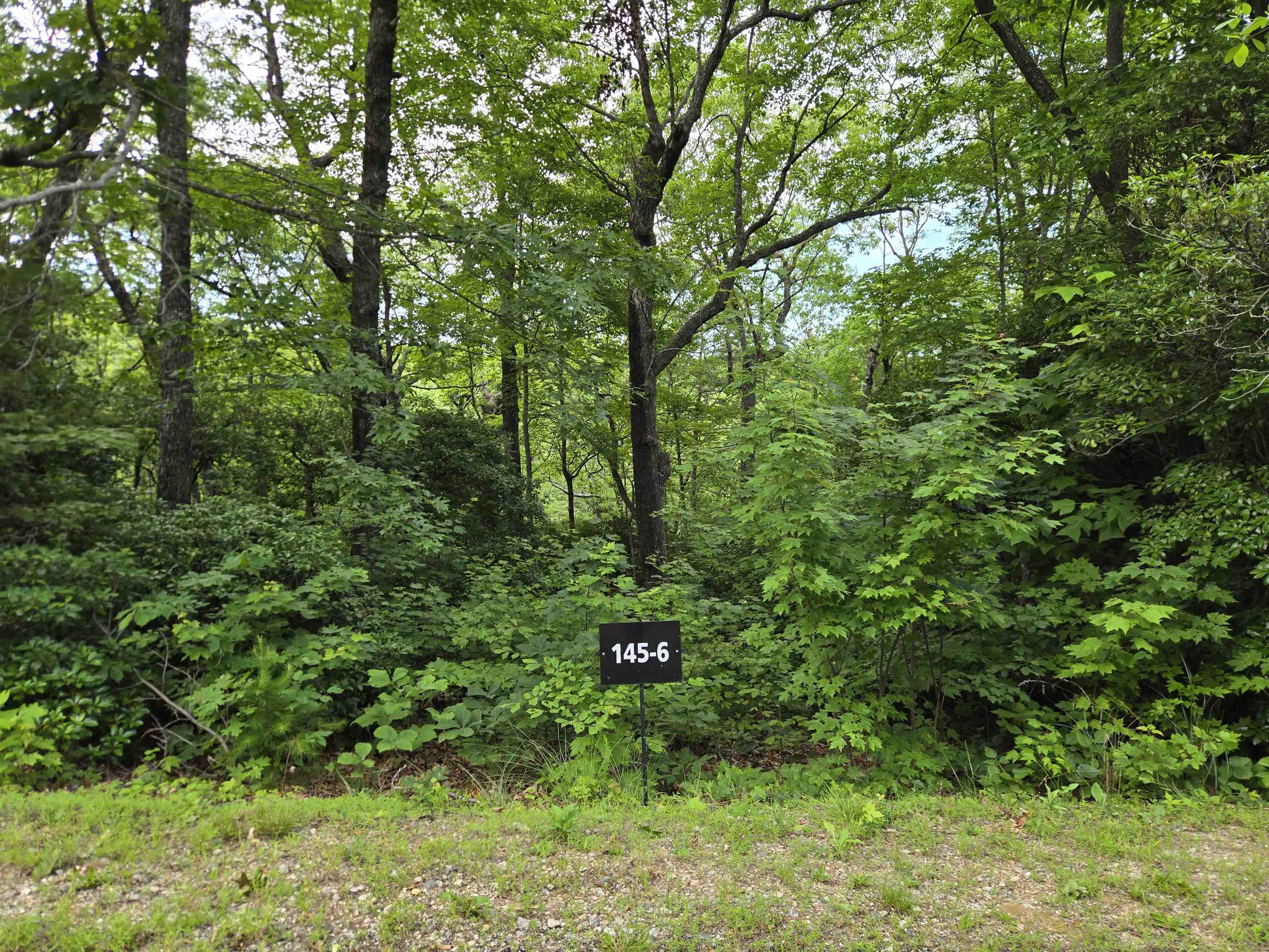 0 Snap Dragon Way Landrum, SC 29356 - Photo 2 of 3