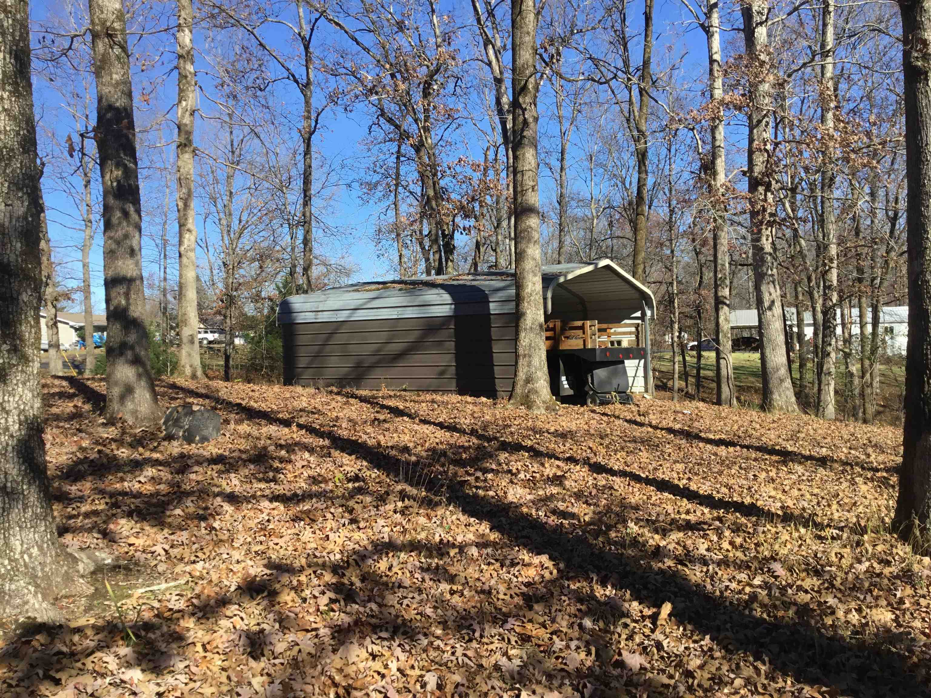 367 Crabtree Road Selmer, TN 38375 - Photo 17 of 23 View of yard with a carport