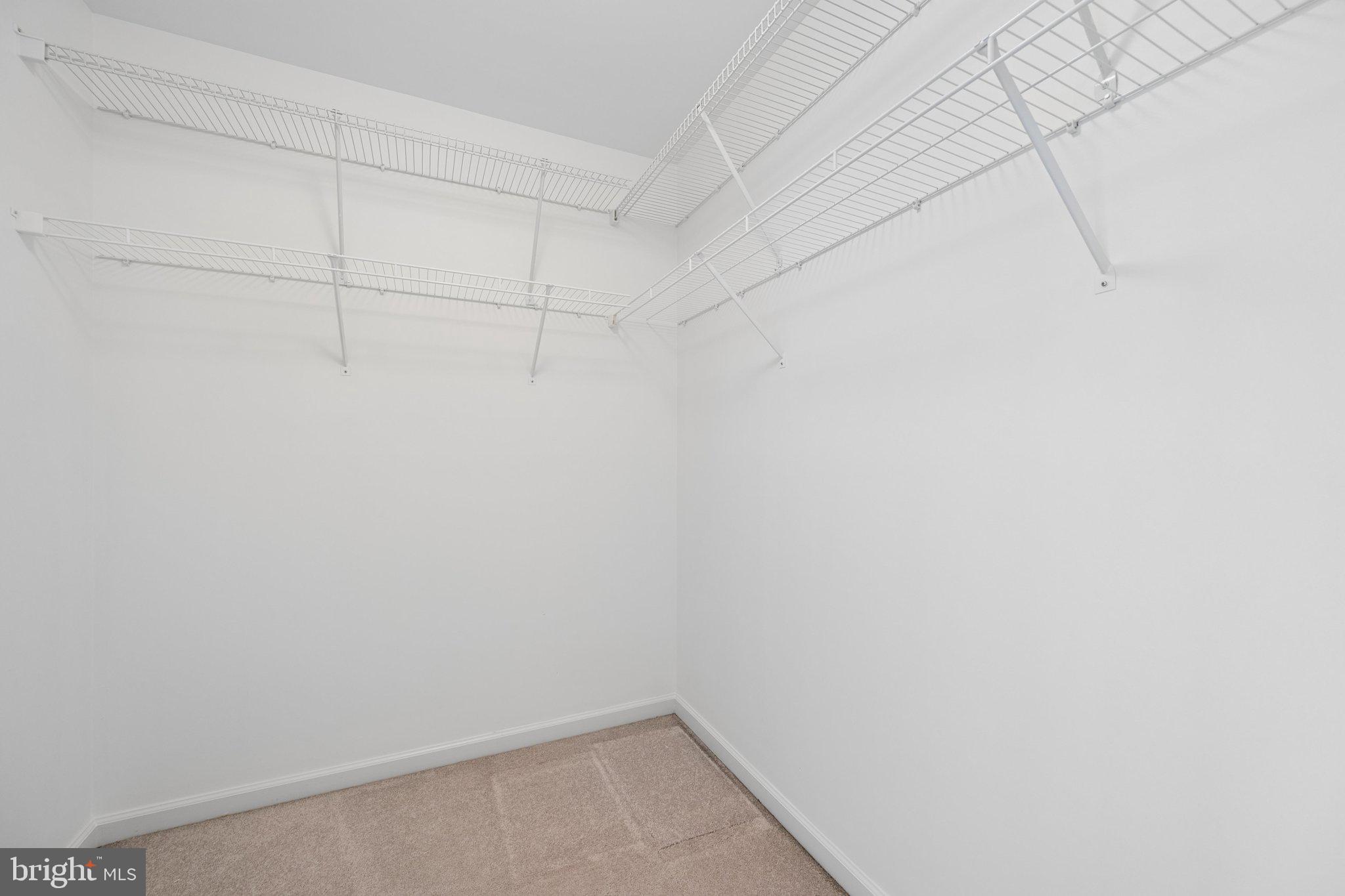 2605 Mill Race Road Frederick, MD 21701 - Photo 62 of 125 Walk in Closet
