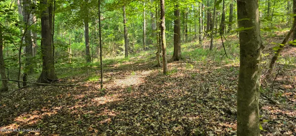 $125,000 | 357 Southeast Nations, Brookhaven, MS 39601