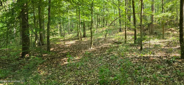$125,000 | 357 Southeast Nations, Brookhaven, MS 39601