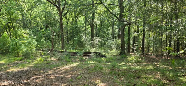 $125,000 | 357 Southeast Nations, Brookhaven, MS 39601