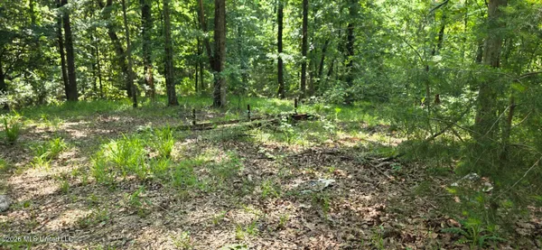 $125,000 | 357 Southeast Nations, Brookhaven, MS 39601