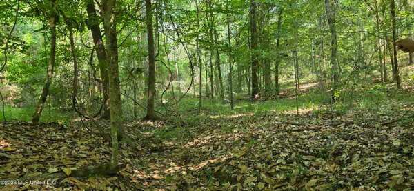 $125,000 | 357 Southeast Nations, Brookhaven, MS 39601