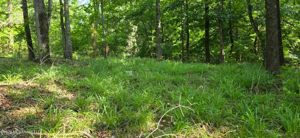 $125,000 | 357 Southeast Nations, Brookhaven, MS 39601