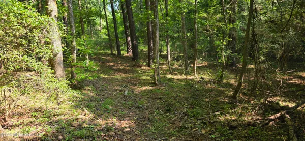 $125,000 | 357 Southeast Nations, Brookhaven, MS 39601