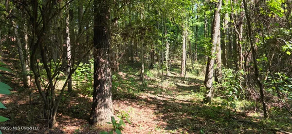 $125,000 | 357 Southeast Nations, Brookhaven, MS 39601
