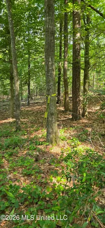 $125,000 | 357 Southeast Nations, Brookhaven, MS 39601