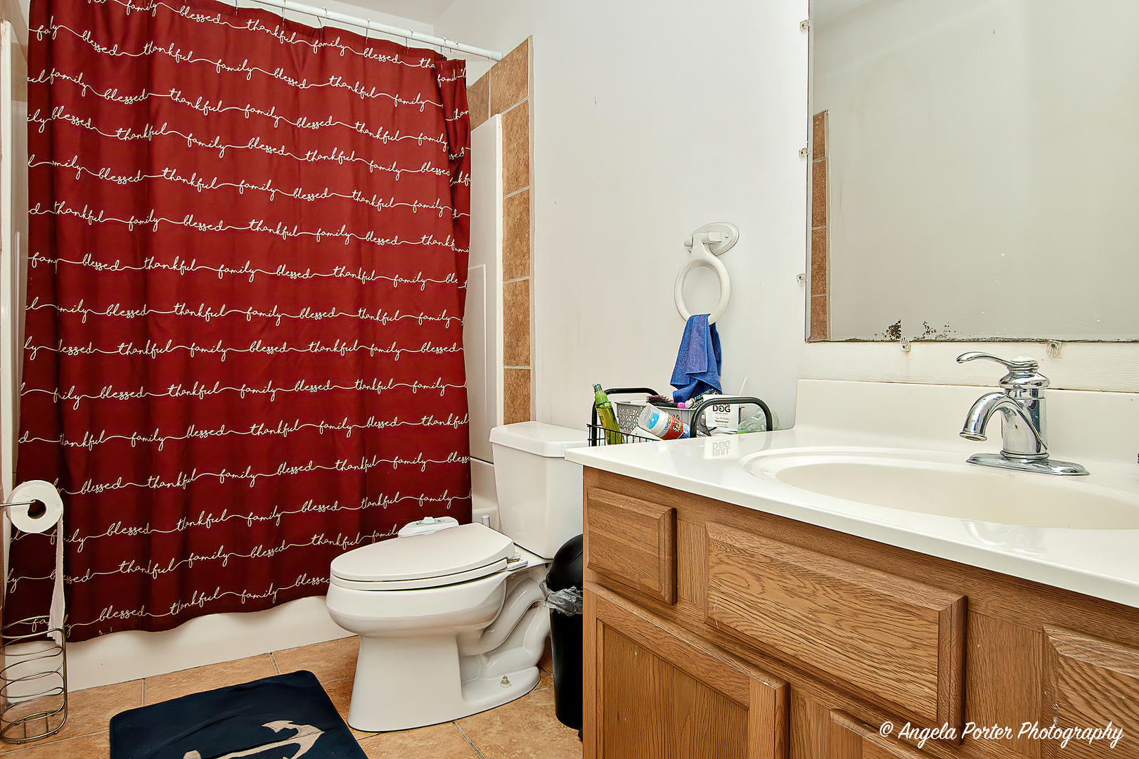19212 Crowley Road Harvard, IL 60033 - Photo 21 of 38 a bathroom with a sink a toilet and a mirror
