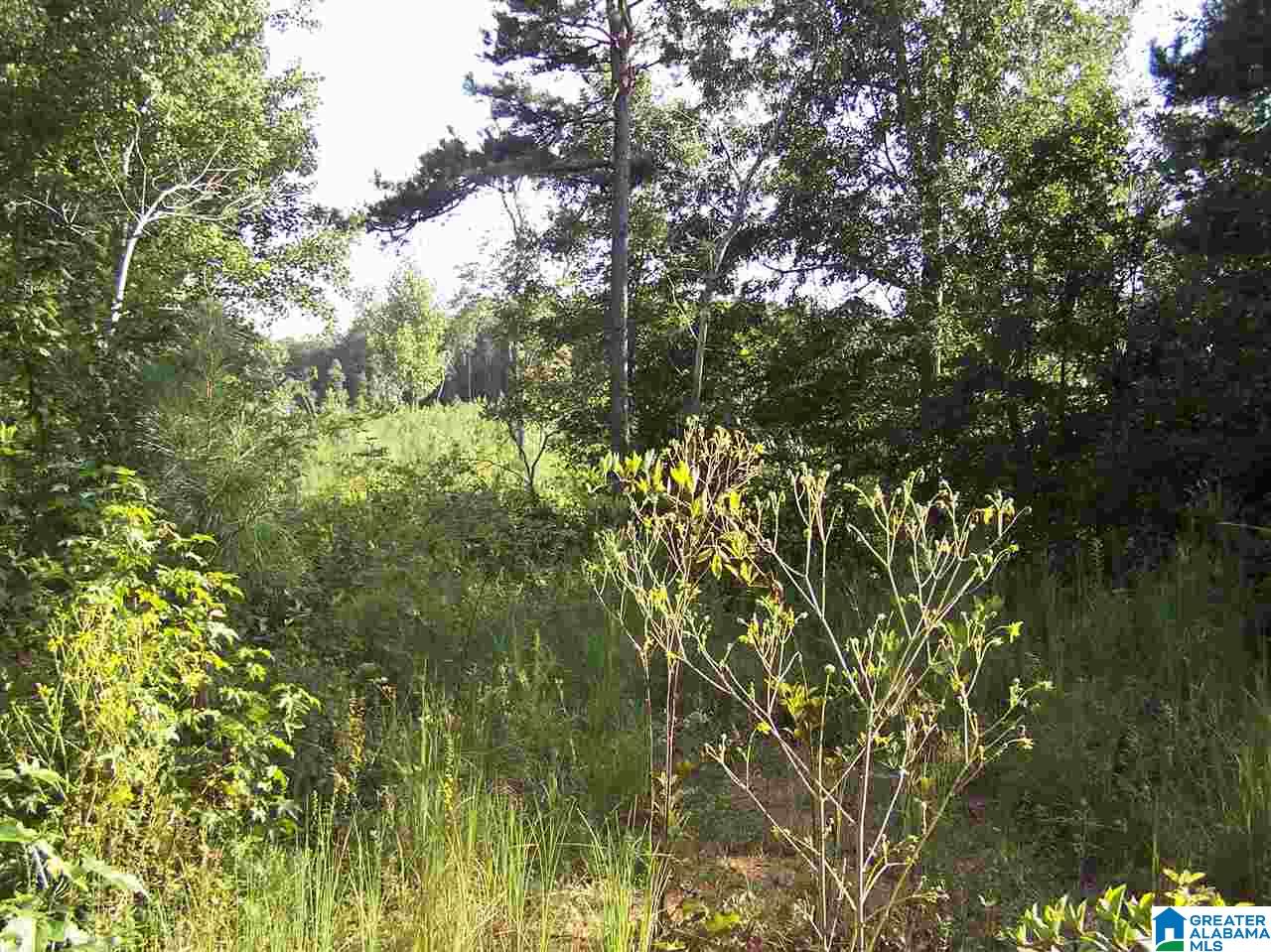 0 Jackson Trail, Unit 140 ACRES Altoona, AL 35952 - Photo 43 of 50