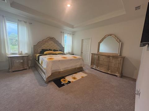 3982 Southwest Halcomb Street Port St. Lucie, FL 34953 - Photo 4 of 13 JO MASTER