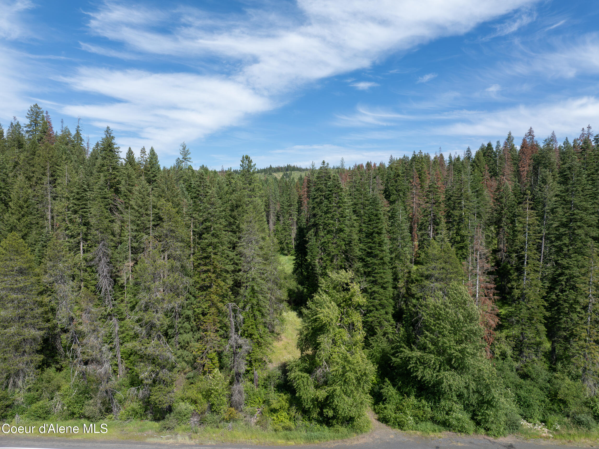 6 Harvard Id 83834 Harvard, ID 83834 - Photo 13 of 32 Cow Creek Tweedy (13 of 29)