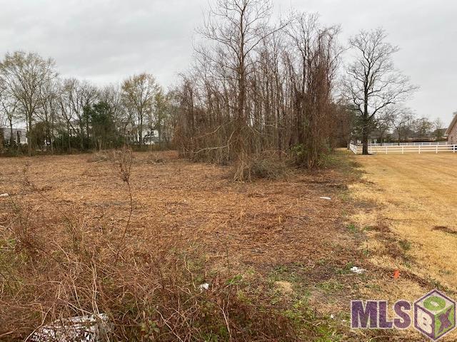 6454 Highway 1 Addis, LA 70710 - Photo 2 of 4