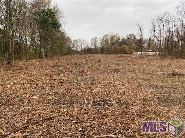6454 Highway 1 Addis, LA 70710 - Photo 4 of 4