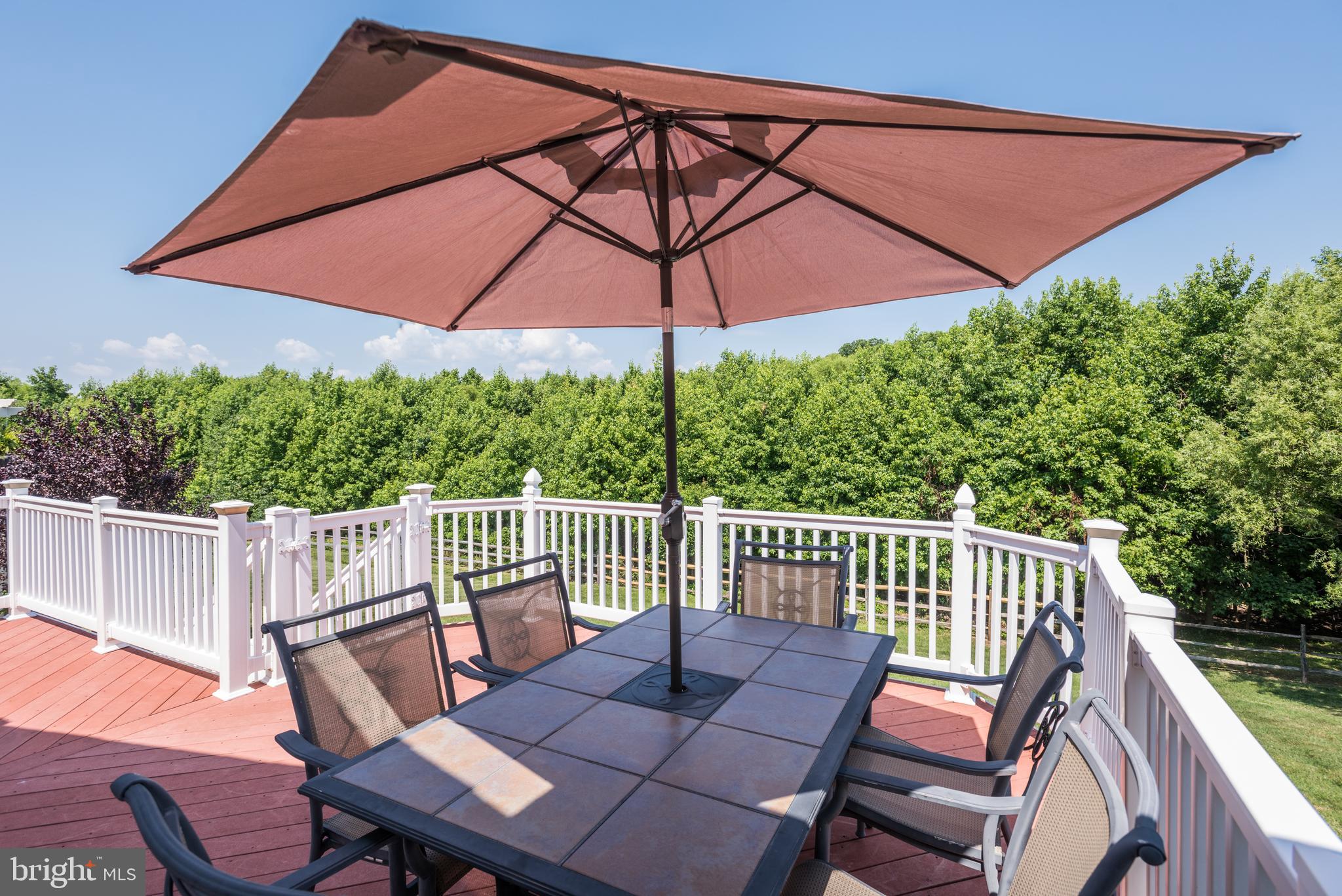 9506 Good Spring Drive Perry Hall, MD 21128 - Photo 45 of 50 DECK OVERLOOKING YARD & TREES
