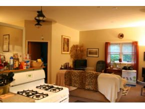 193 Fred Catlin Road Owego, NY 13827 - Photo 8 of 13 Gallery Image 8