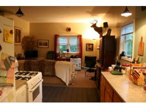 193 Fred Catlin Road Owego, NY 13827 - Photo 9 of 13 Gallery Image 9