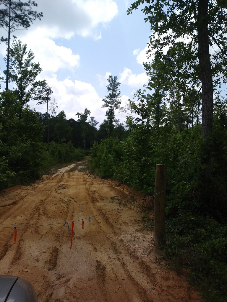 4 Neals Mill Road Dearing, GA 30808 - Photo 2 of 5