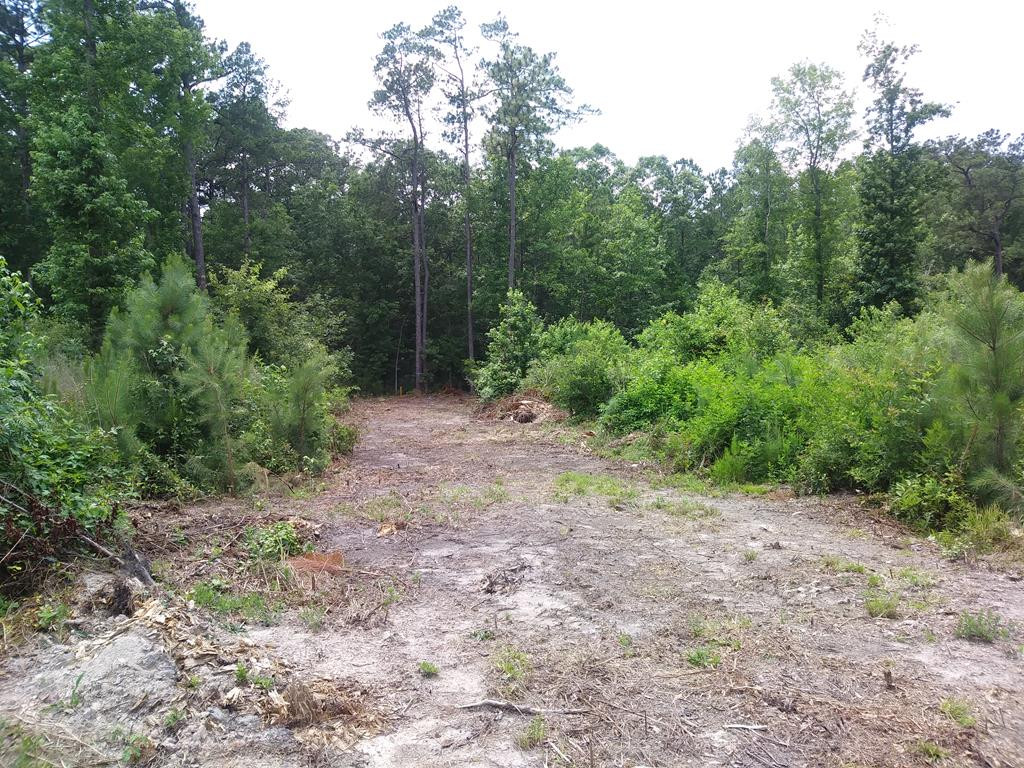 4 Neals Mill Road Dearing, GA 30808 - Photo 3 of 5