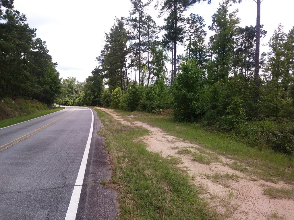 4 Neals Mill Road Dearing, GA 30808 - Photo 4 of 5