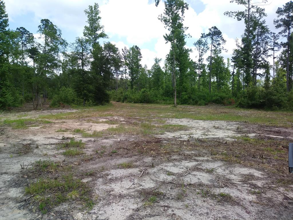 4 Neals Mill Road Dearing, GA 30808 - Photo 5 of 5