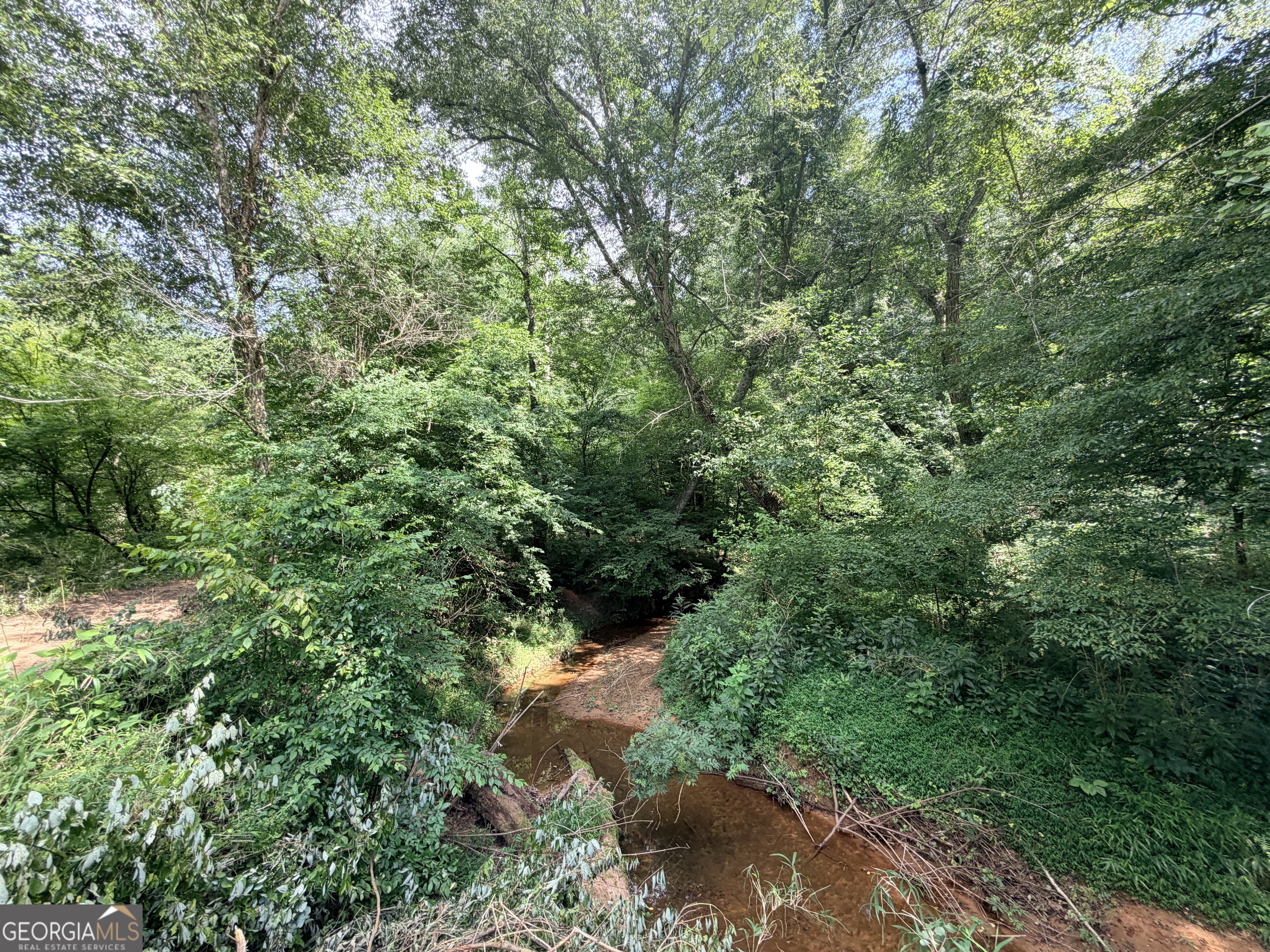 1590 James Adams Road Danielsville, GA 30633 - Photo 61 of 98