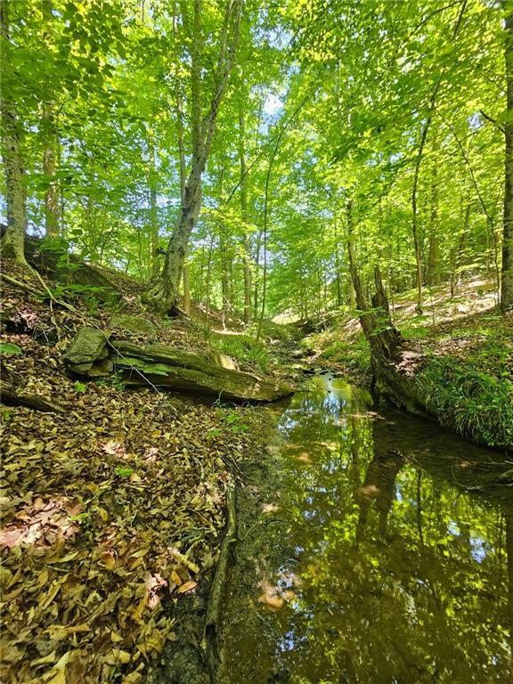 0 Ridgedale Road Six Mile, SC 29682 - Photo 3 of 5 A tranquil stream meanders through a lush, forested landscape, creating a picturesque natural setting.