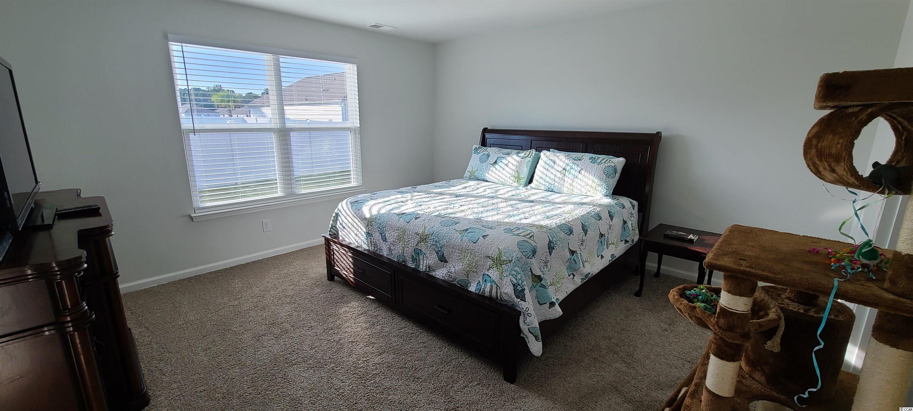 433 Quinta Street Longs, SC 29568 - Photo 18 of 38 Gallery Image 18
