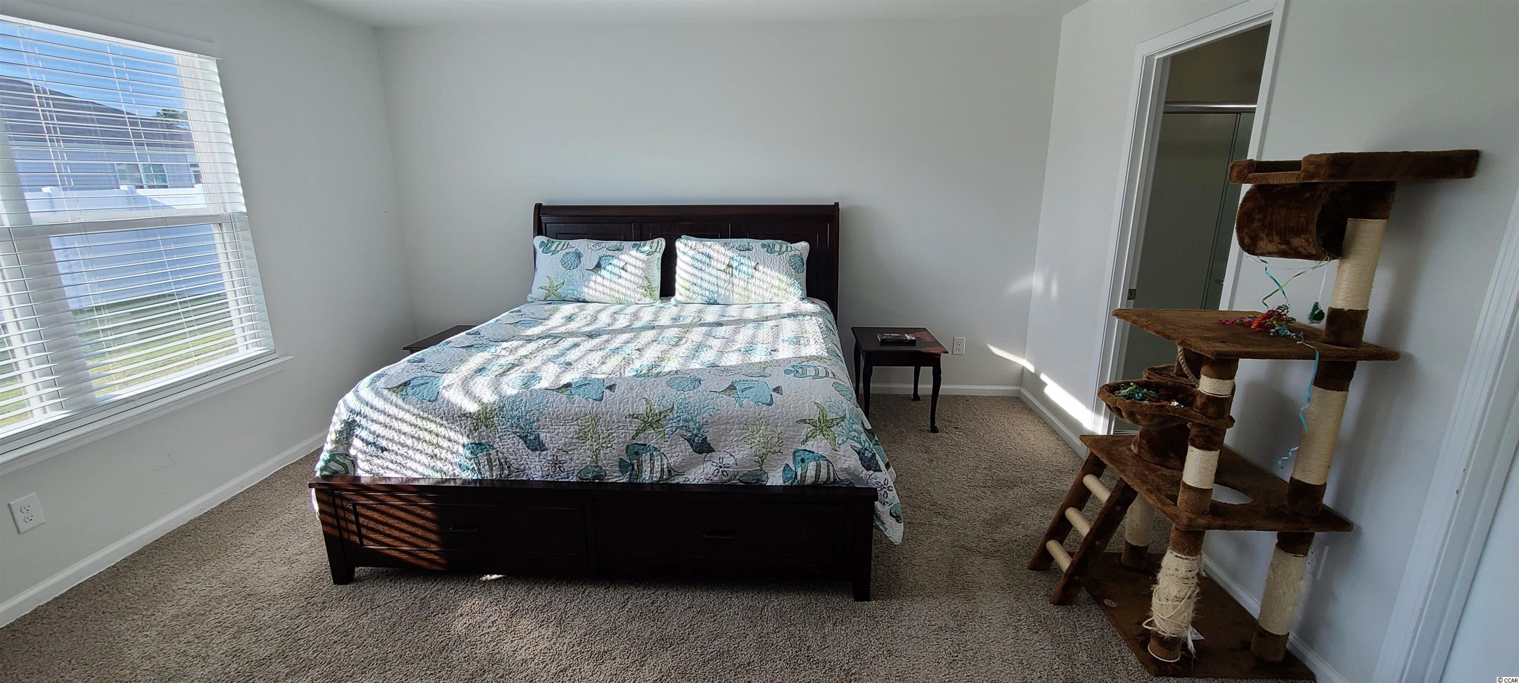 433 Quinta Street Longs, SC 29568 - Photo 19 of 38 Gallery Image 19