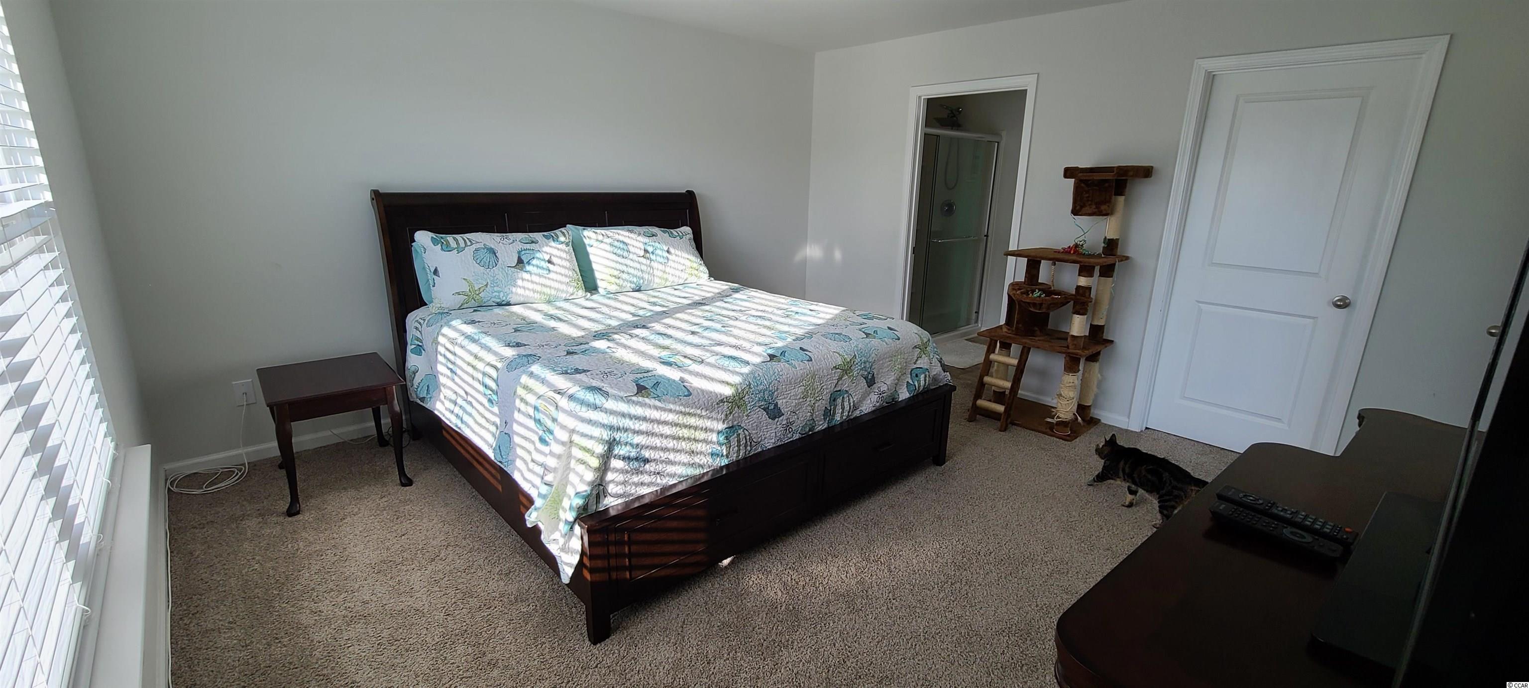 433 Quinta Street Longs, SC 29568 - Photo 20 of 38 Gallery Image 20