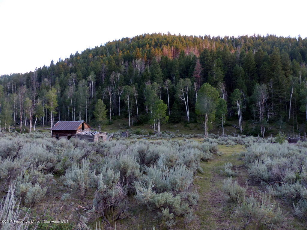 L1170239-001