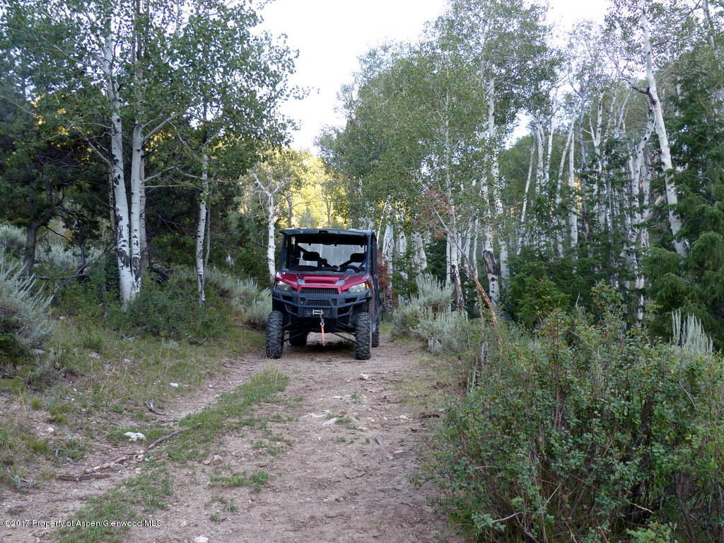Tbd Tbd Atchee Ridge Road De Beque, CO 81630 - Photo 11 of 22 L1170193-001