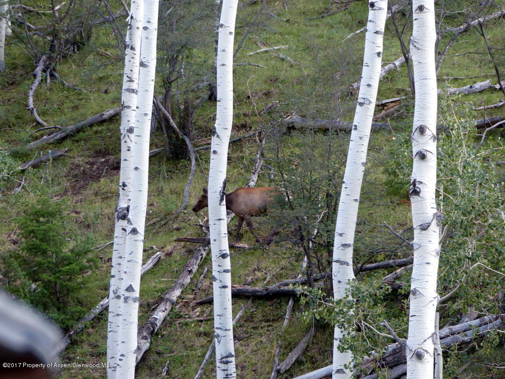 Tbd Tbd Atchee Ridge Road De Beque, CO 81630 - Photo 8 of 22 L1170170-001