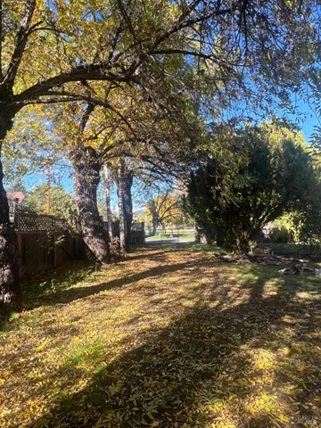 a view of a yard with a trees
