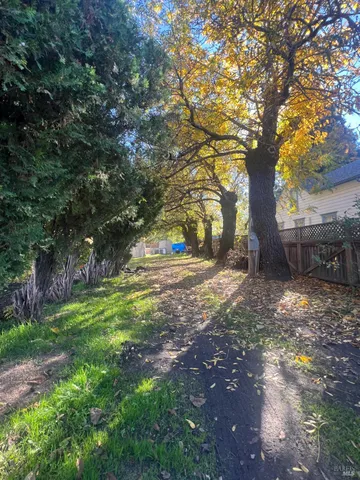 a big yard with large trees