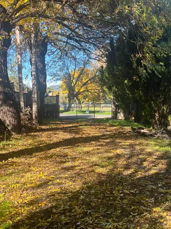 a view of a yard