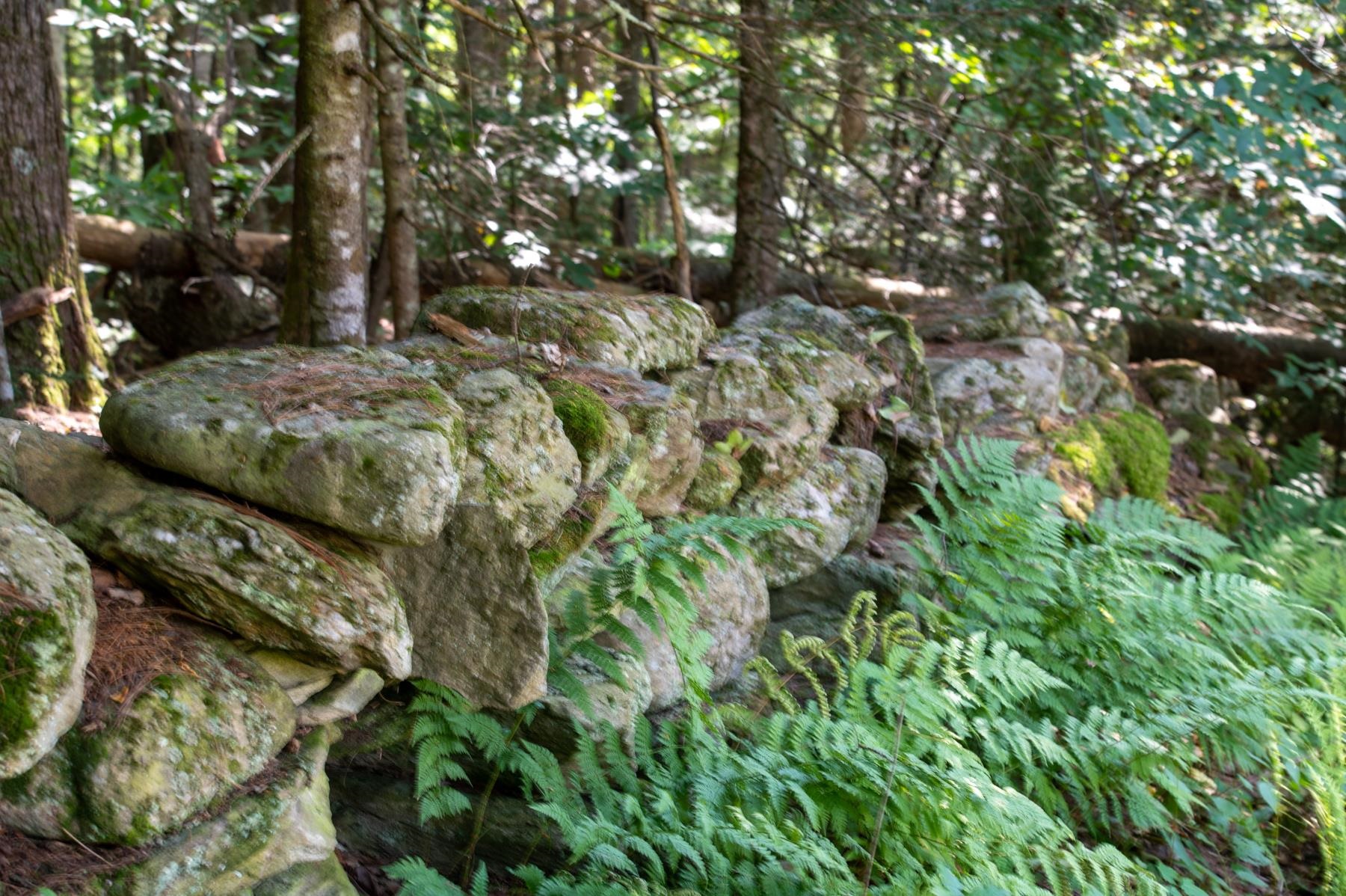 102 Roberts Road Londonderry, VT 05148 - Photo 4 of 20